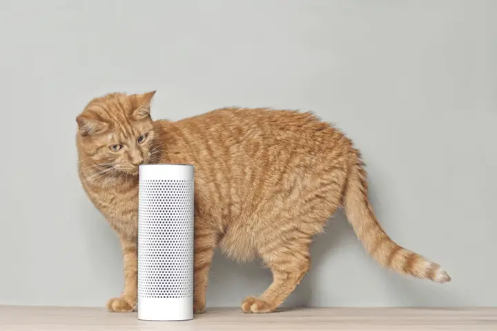 How To Protect Speakers From Cats